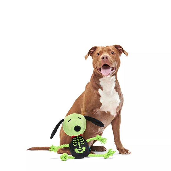 BARK Rattling Bones Beagle - NWT - Picture 1 of 4